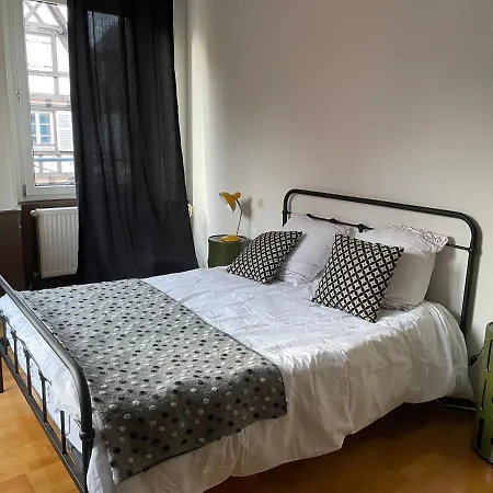 Il Piano Nobile Apartment Colmar